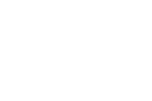 SOYAK EVOSTAR