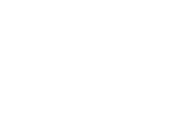 İDEALİST KORU