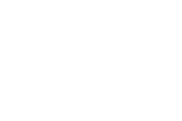 KENT PLUS MİMAR SİNAN