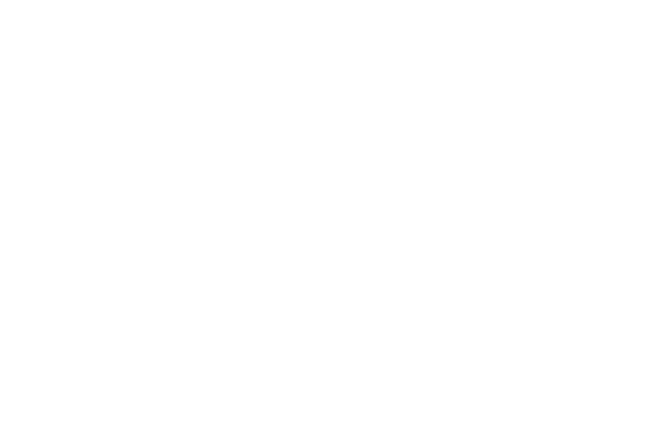 SOYAK PARK APARTS