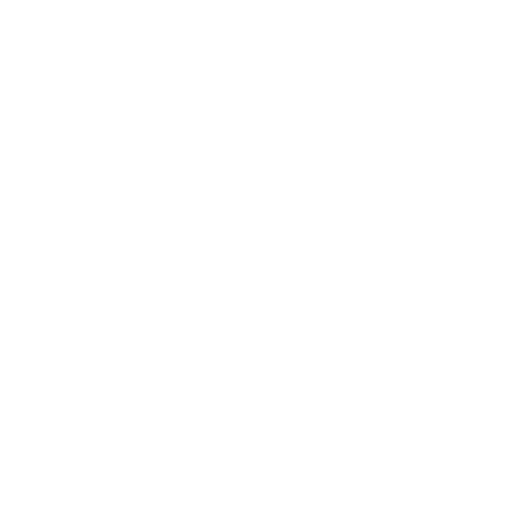 BİZİM EVLER 4