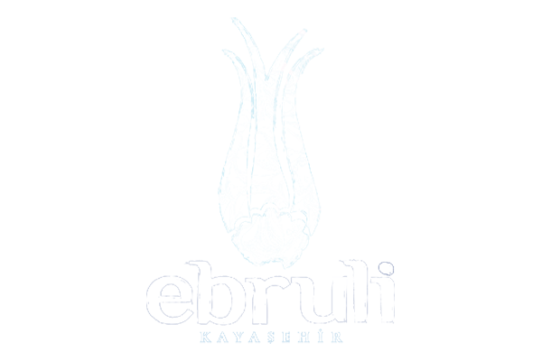 EBRULİ KAYAŞEHİR