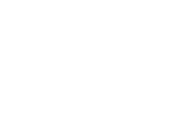 BARBAROS 48