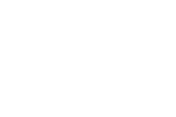 BULVAR 216