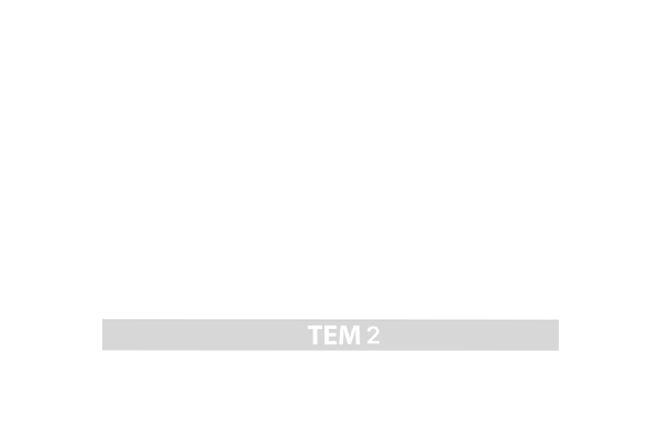 AVRUPA KONUTLARI TEM 2